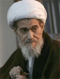 خاطرات مستند سید هادی خسروشاهی درباره آیت الله علی مشکینی