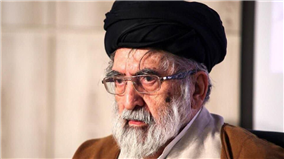 استاد سید هادی خسروشاهی، تالی تلو سید جمالالدین اسدآبادی