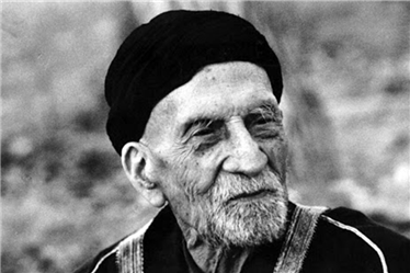 سید جمال الدین اسدآبادی , قهرمان نهضت های اسلامی(بخش اول)