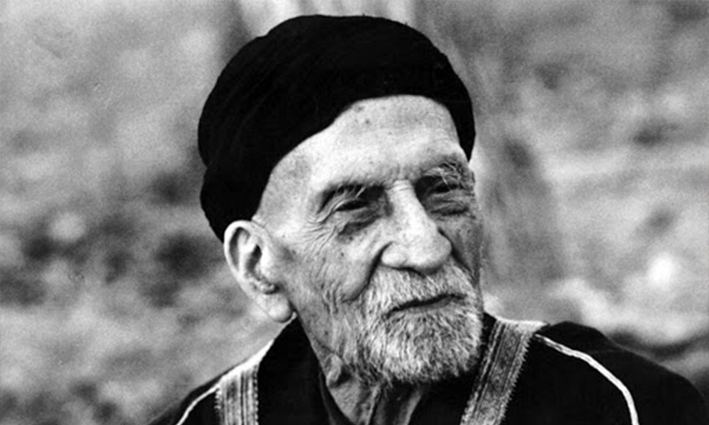 سید جمال الدین اسدآبادی , قهرمان نهضت های اسلامی(بخش اول)
